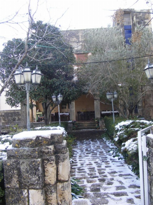 Lishansky Since 1936 image 17