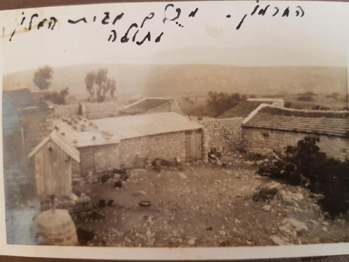 Lishansky Since 1936 image 35